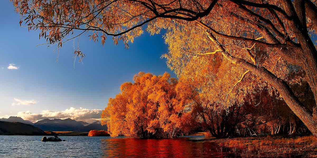 September Spring Nz Sleeping through the Seasonal Shift: How March in New Zealand Can Affe ...