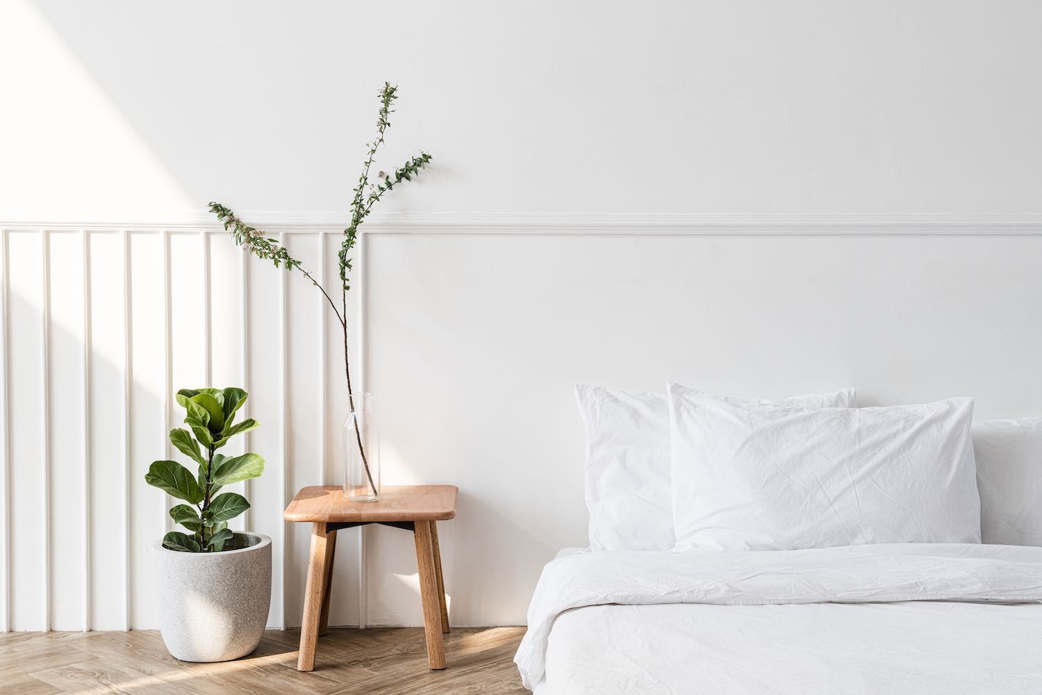 7 Plants That Can Improve Air Quality and Promote Relaxation in Your Bedroom