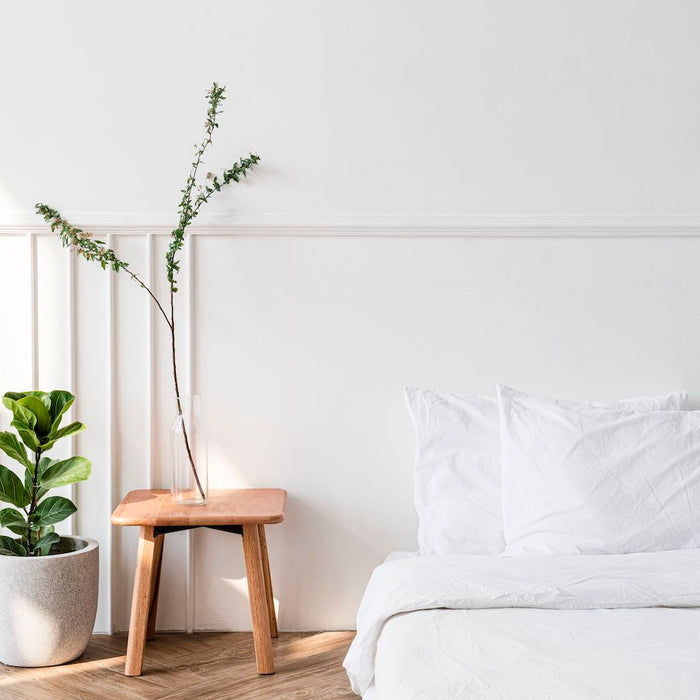 7 Plants That Can Improve Air Quality and Promote Relaxation in Your Bedroom