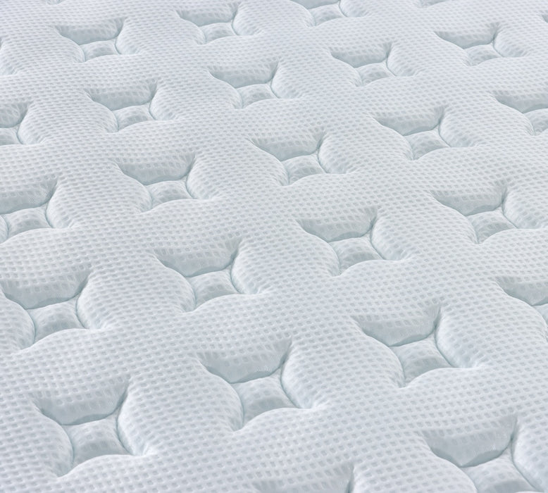 BLACK FRIDAY SUPER DEAL