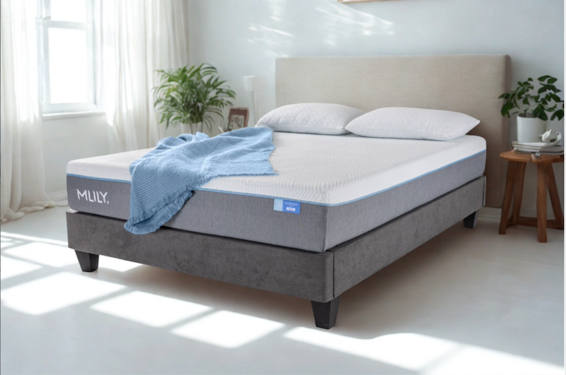 MLILY Polar wave Foam Mattress - (3 Feels)