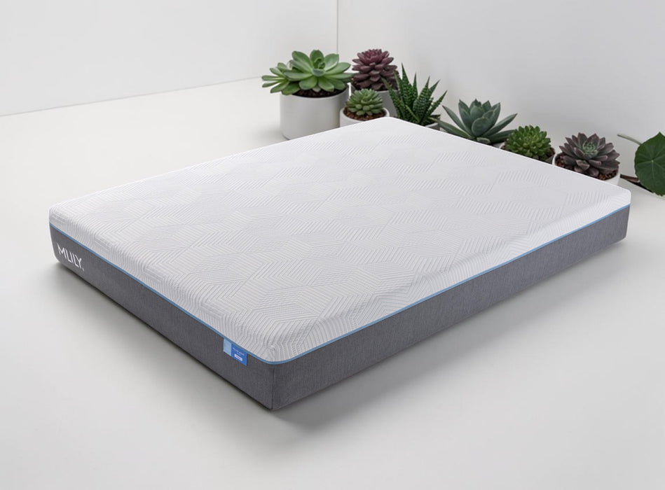 MLILY Polar wave Foam Mattress - (3 Feels)