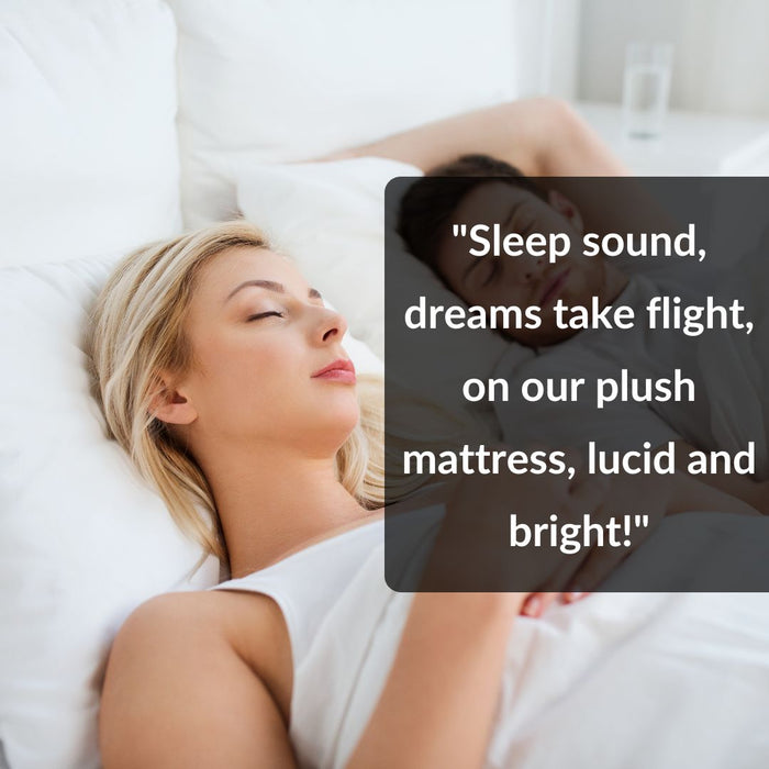 Lucid Euro Top Mattress and Bed Base - King Single
